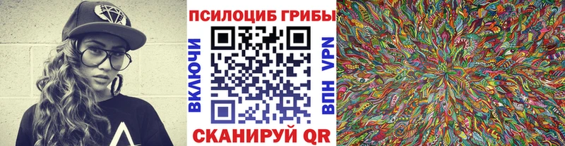 продажа наркотиков Краснообск Псилоцибиновые грибы Magic Shrooms